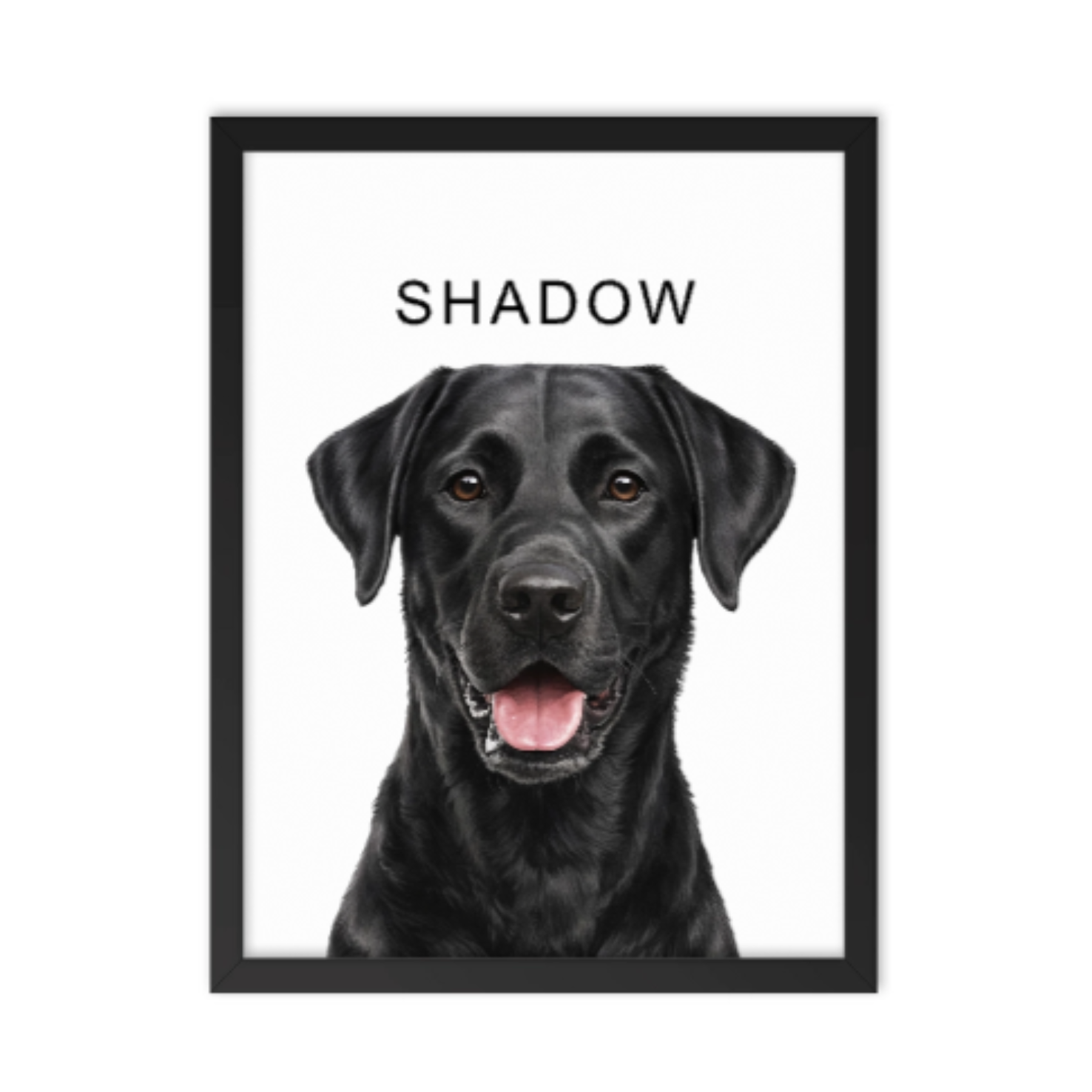 Shadow_the_Black_Labrador pet portrait