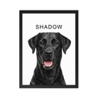 Shadow_the_Black_Labrador pet portrait